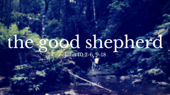 the good shepherd