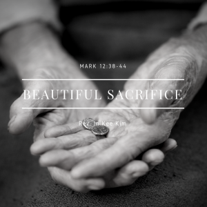 Beautiful Sacrifice