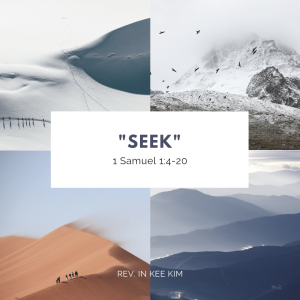 Seek