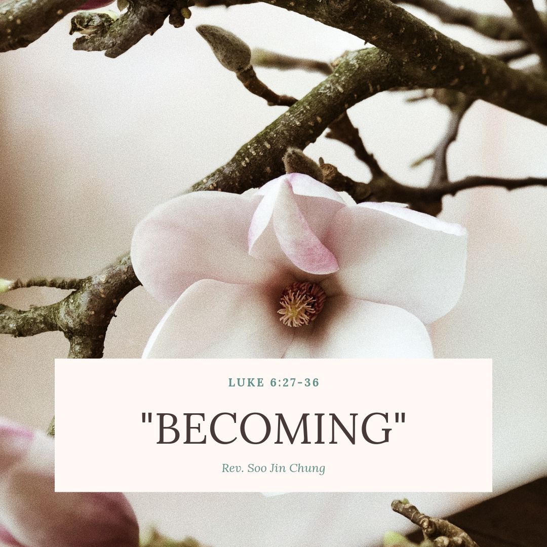 St Timothy Presbyterian Church in Toronto: Sermons