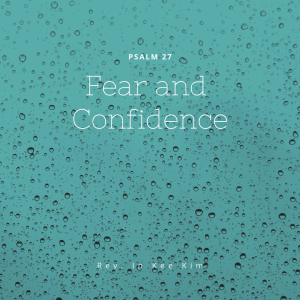 Fear and Confidence