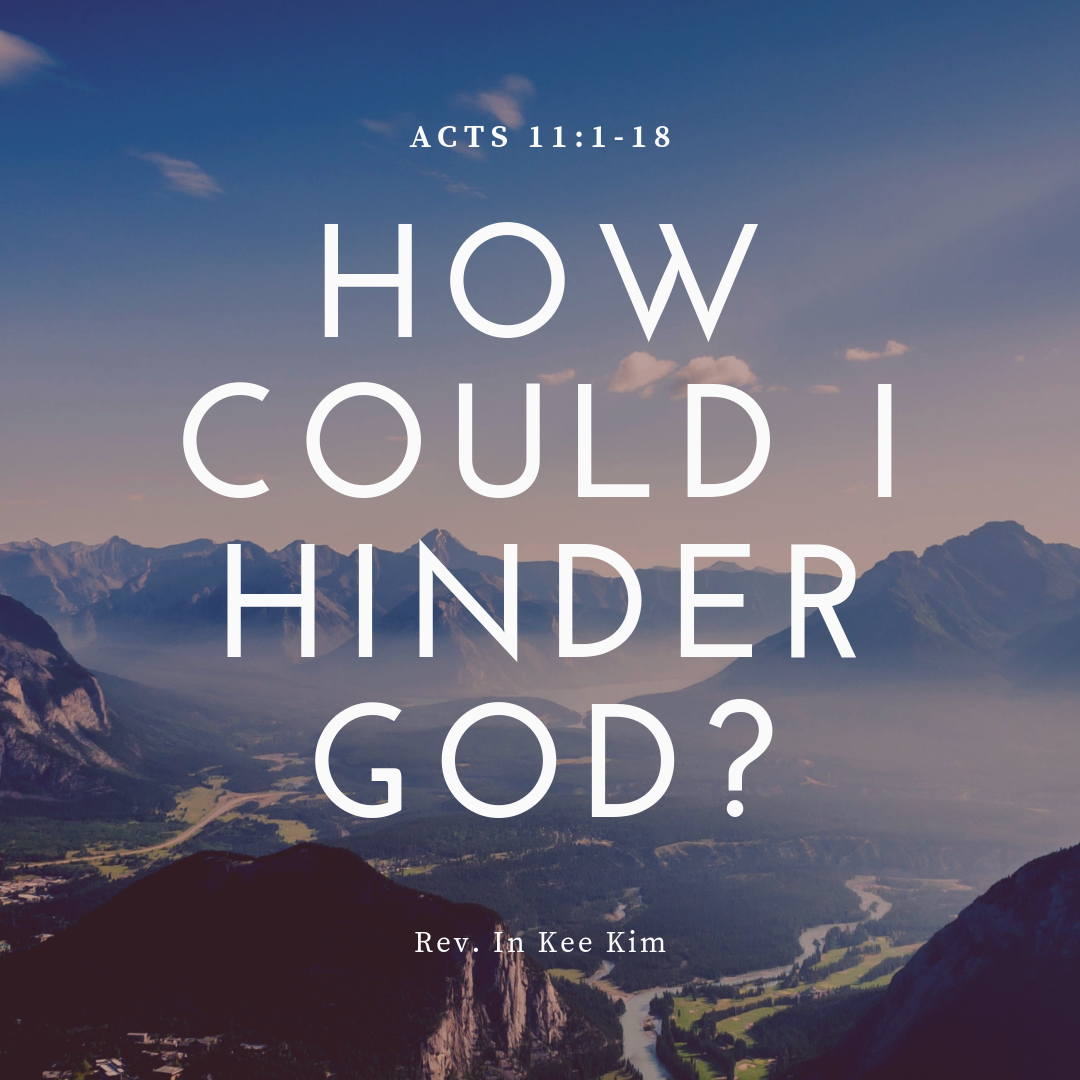 How Could I Hinder God St Timothy Presbyterian Church