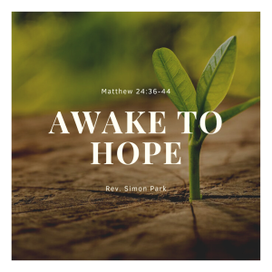 Awake to Hope