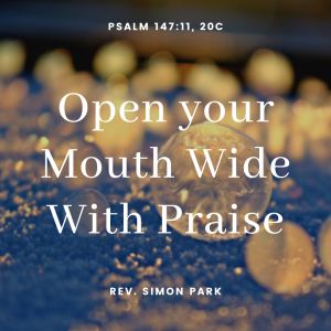 Open Your Mouth Wide With Praise