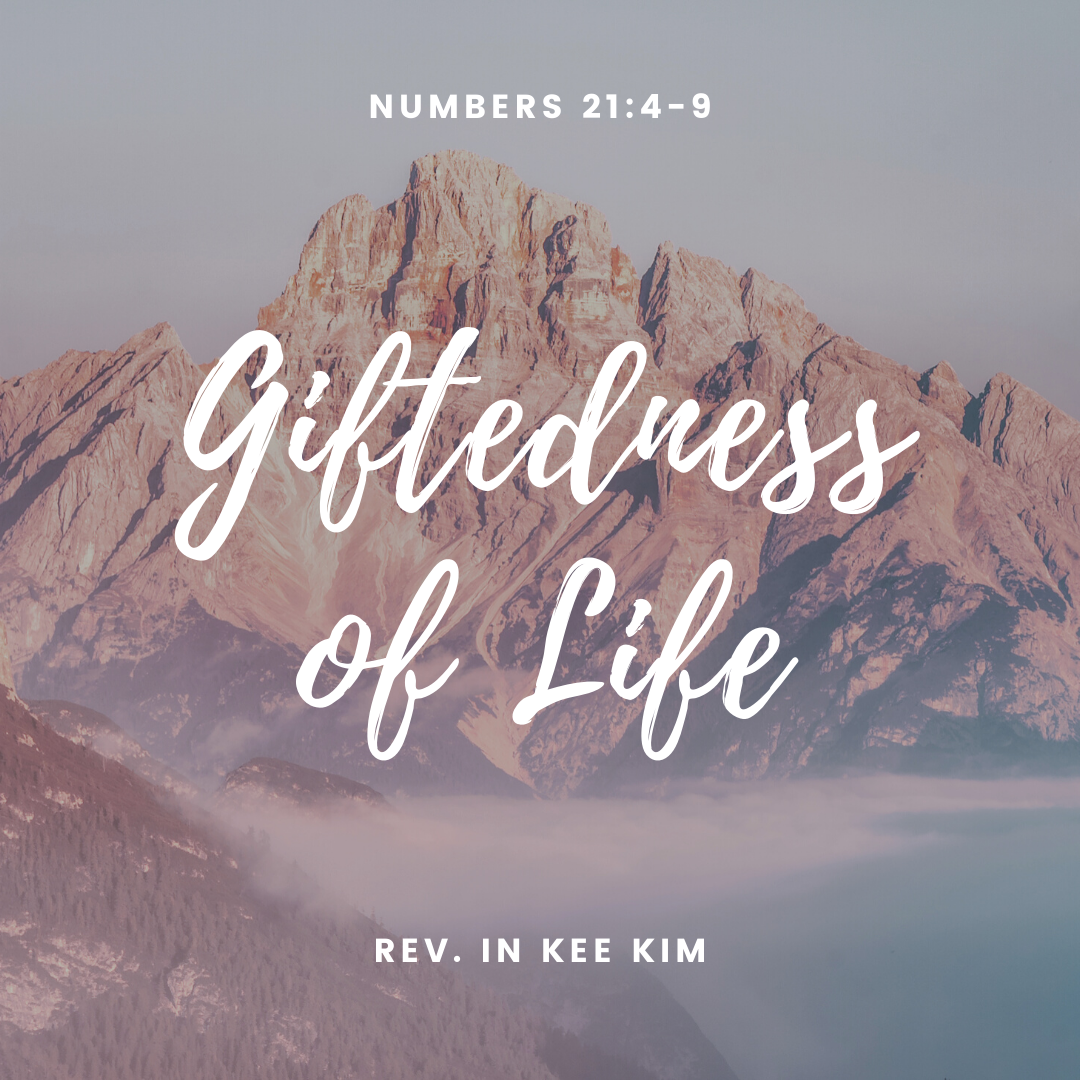 St Timothy Presbyterian Church in Toronto: Sermons