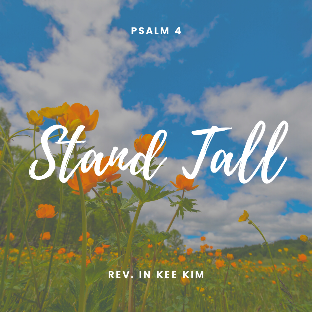 St Timothy Presbyterian Church in Toronto: Sermons