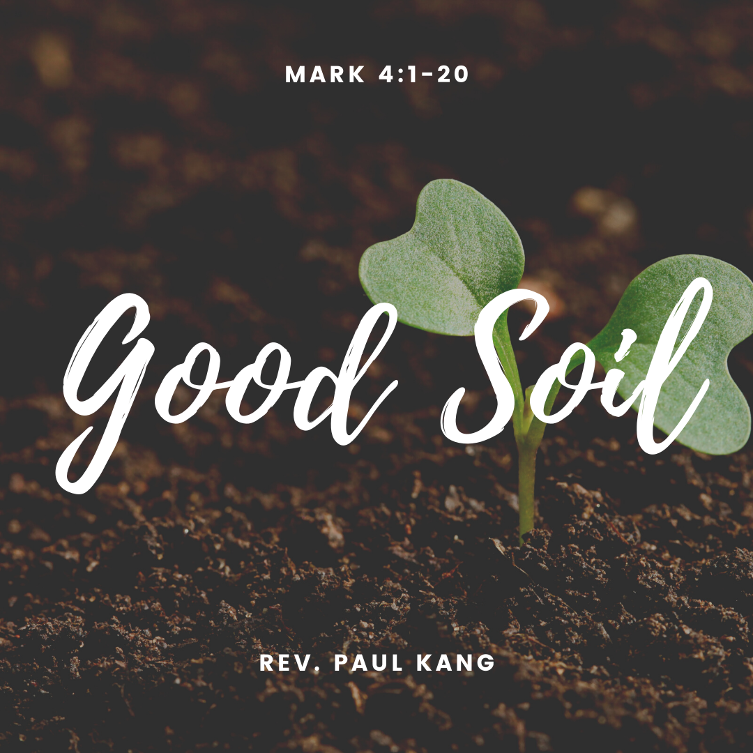 St Timothy Presbyterian Church in Toronto: Sermons