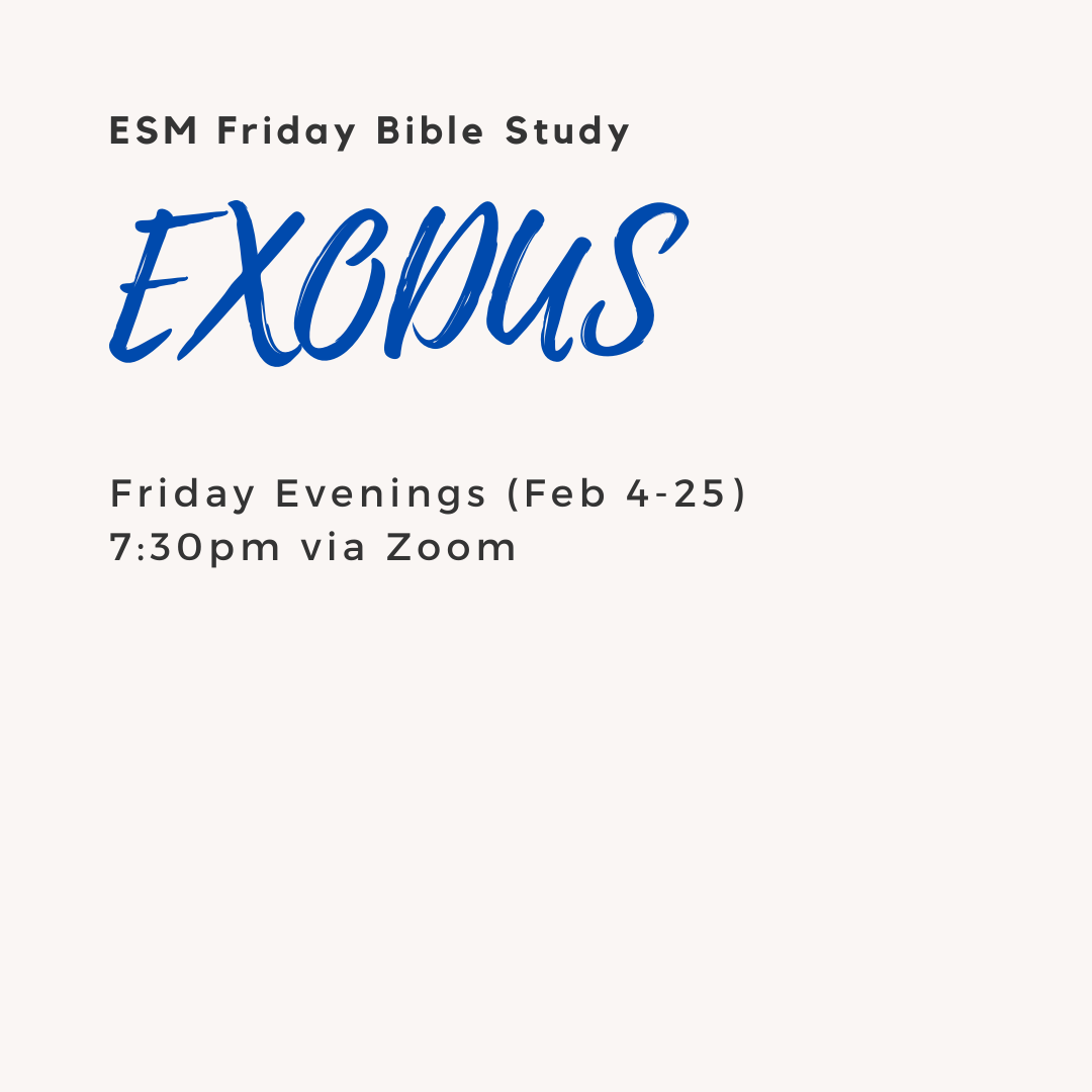 St Timothy Presbyterian Church in Toronto: Bible Studies