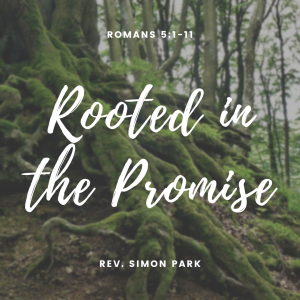 Rooted in the Promise