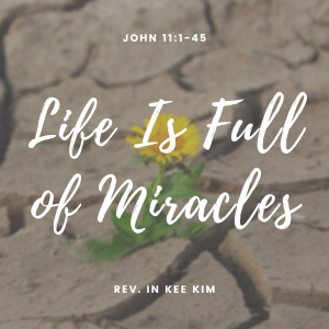Life Is Full of Miracles