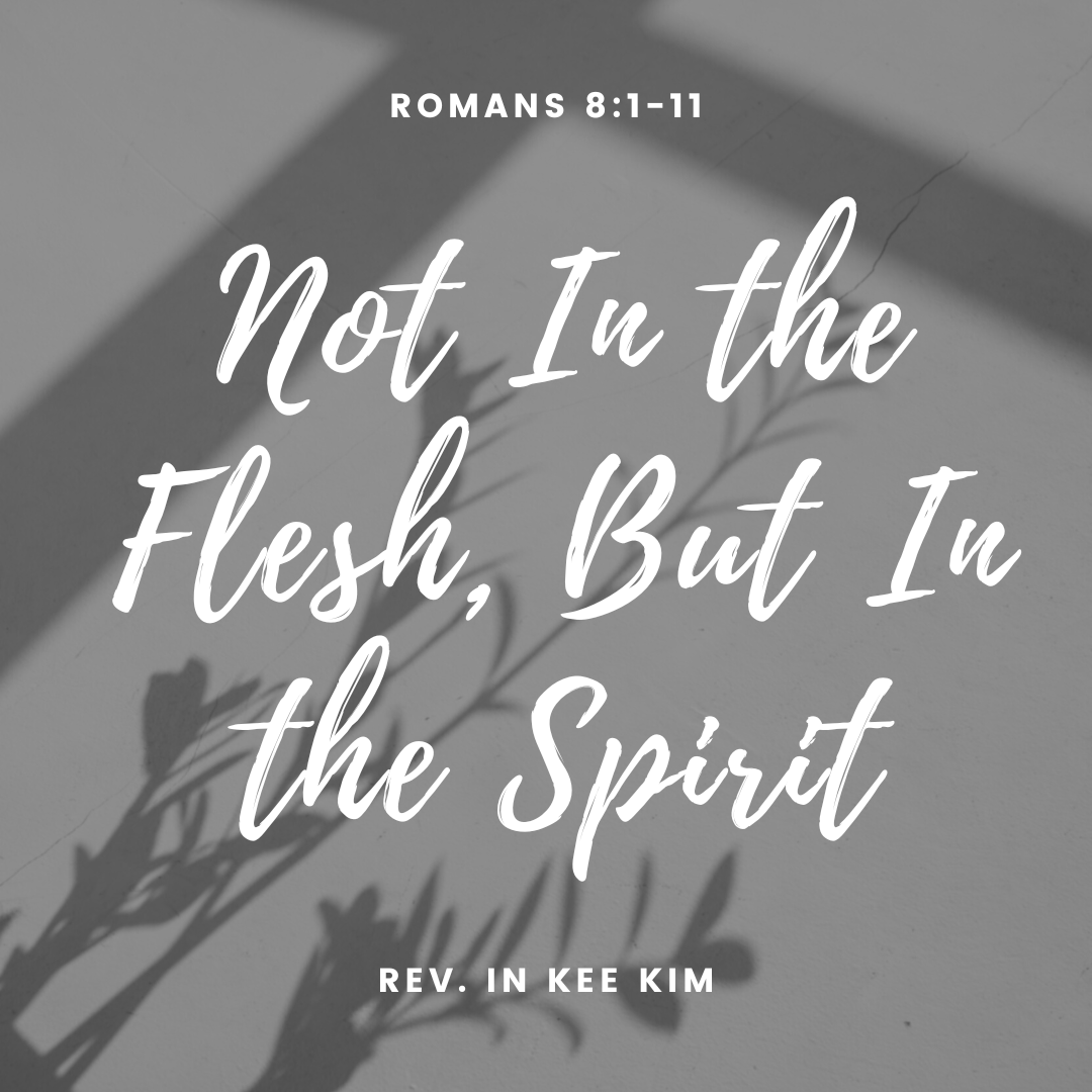 Not In the Flesh, But In the Spirit - St Timothy Presbyterian Church -