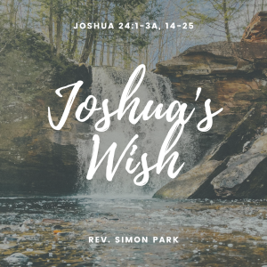 Joshua’s Wish