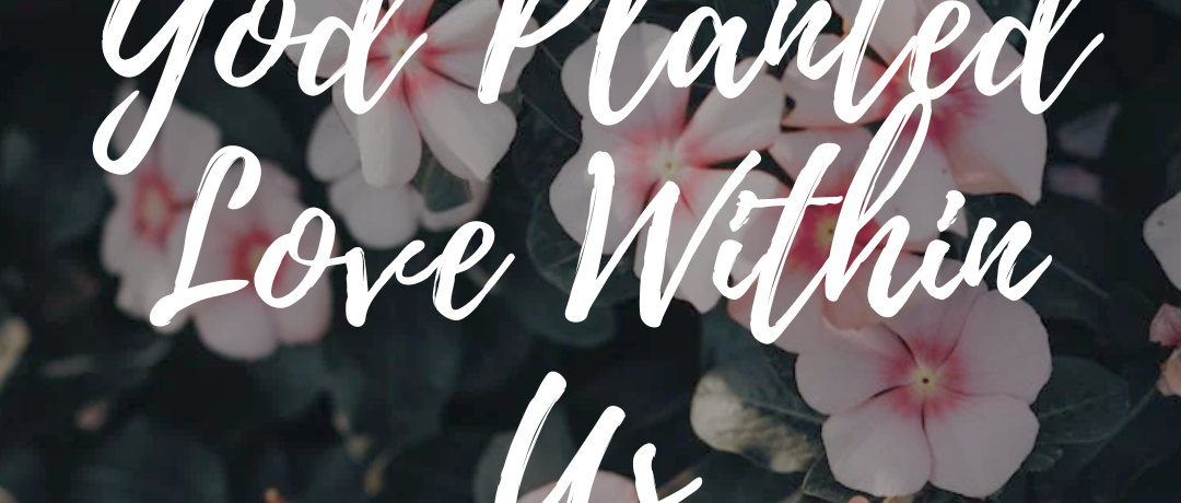 God Planted Love Within Us