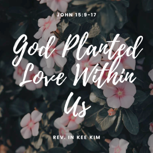 God Planted Love Within Us
