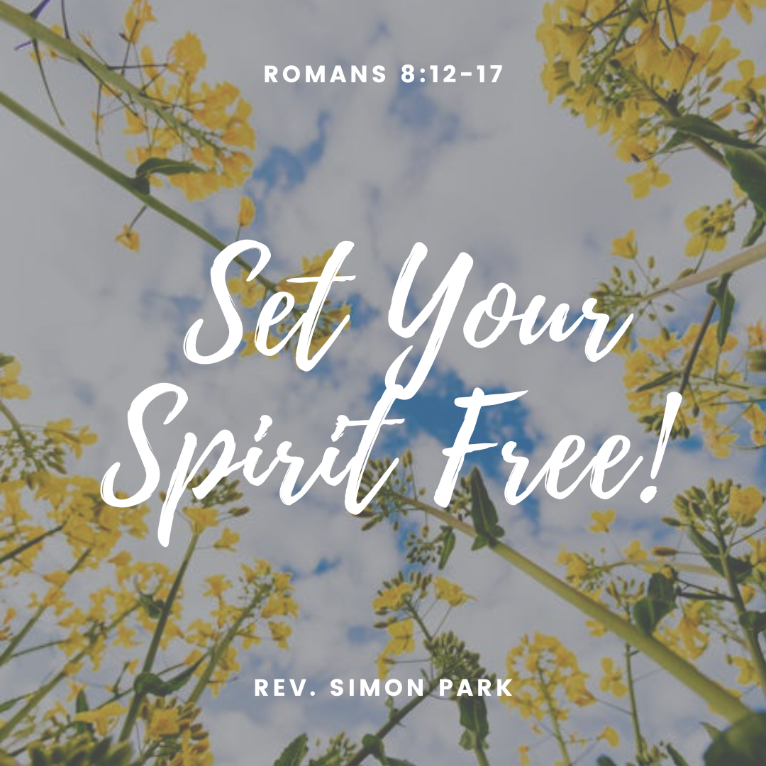 St Timothy Presbyterian Church in Toronto: Sermons