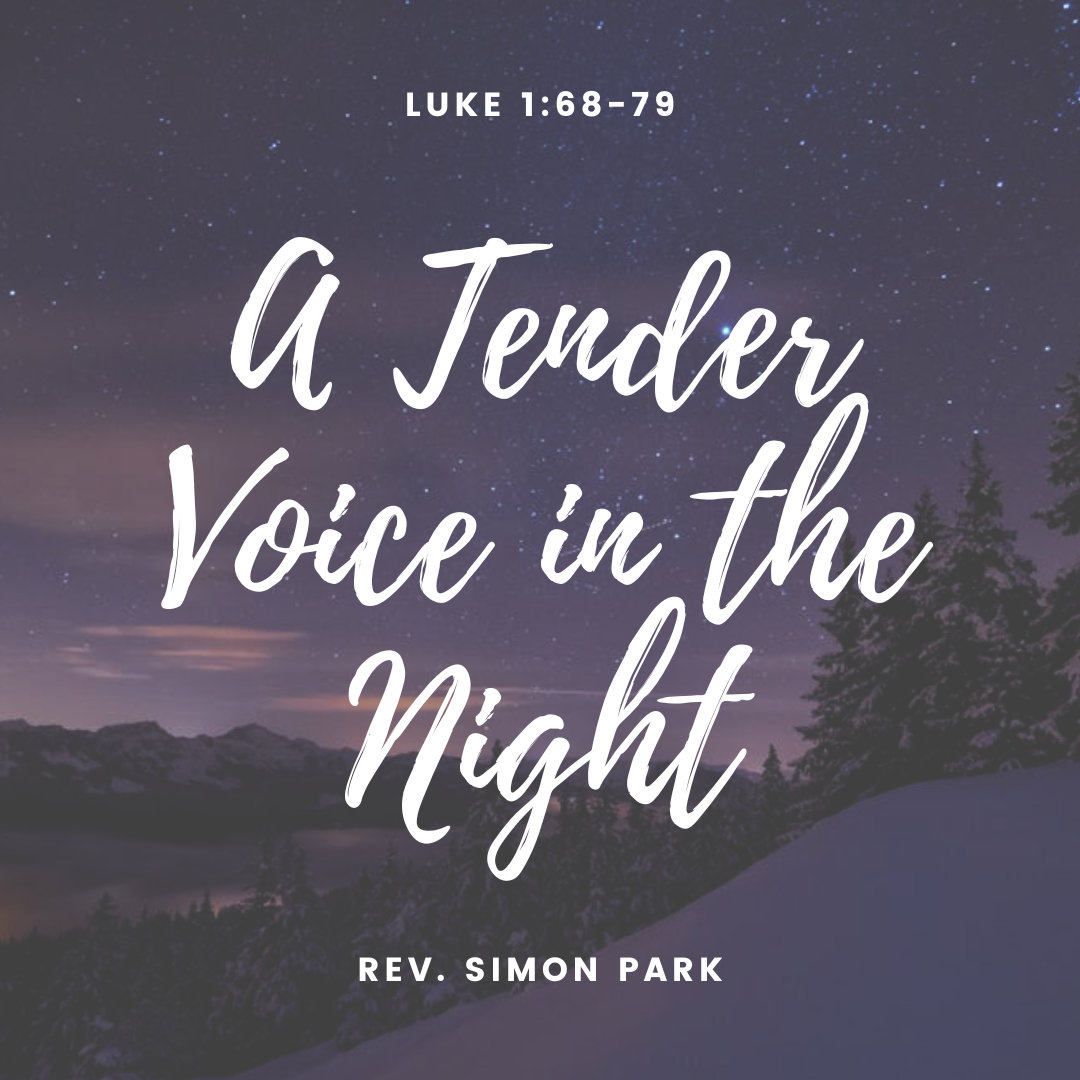 A Tender Voice in the Night