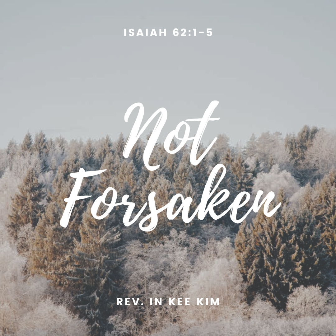 Not Forsaken