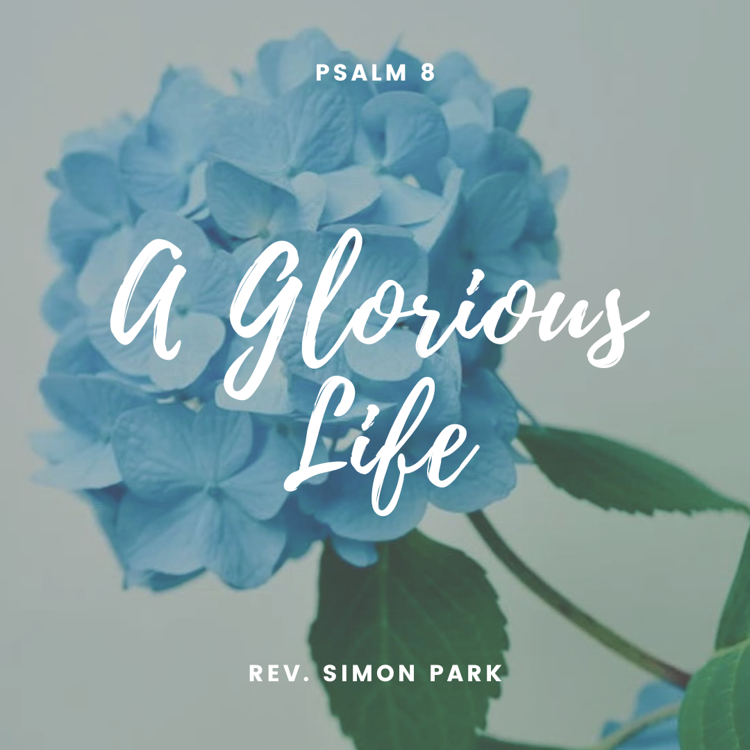 A Glorious Life