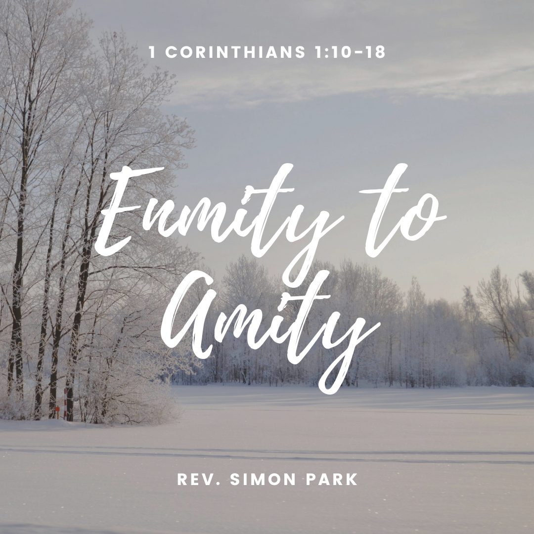 Enmity to Amity
