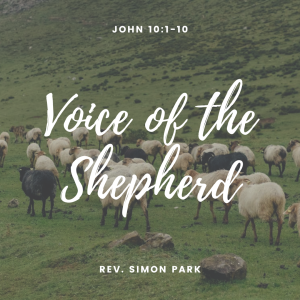 Voice of the Shepherd