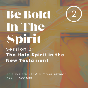 Be Bold In The Spirit: Session 2