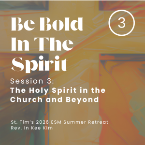 Be Bold In The Spirit: Session 3