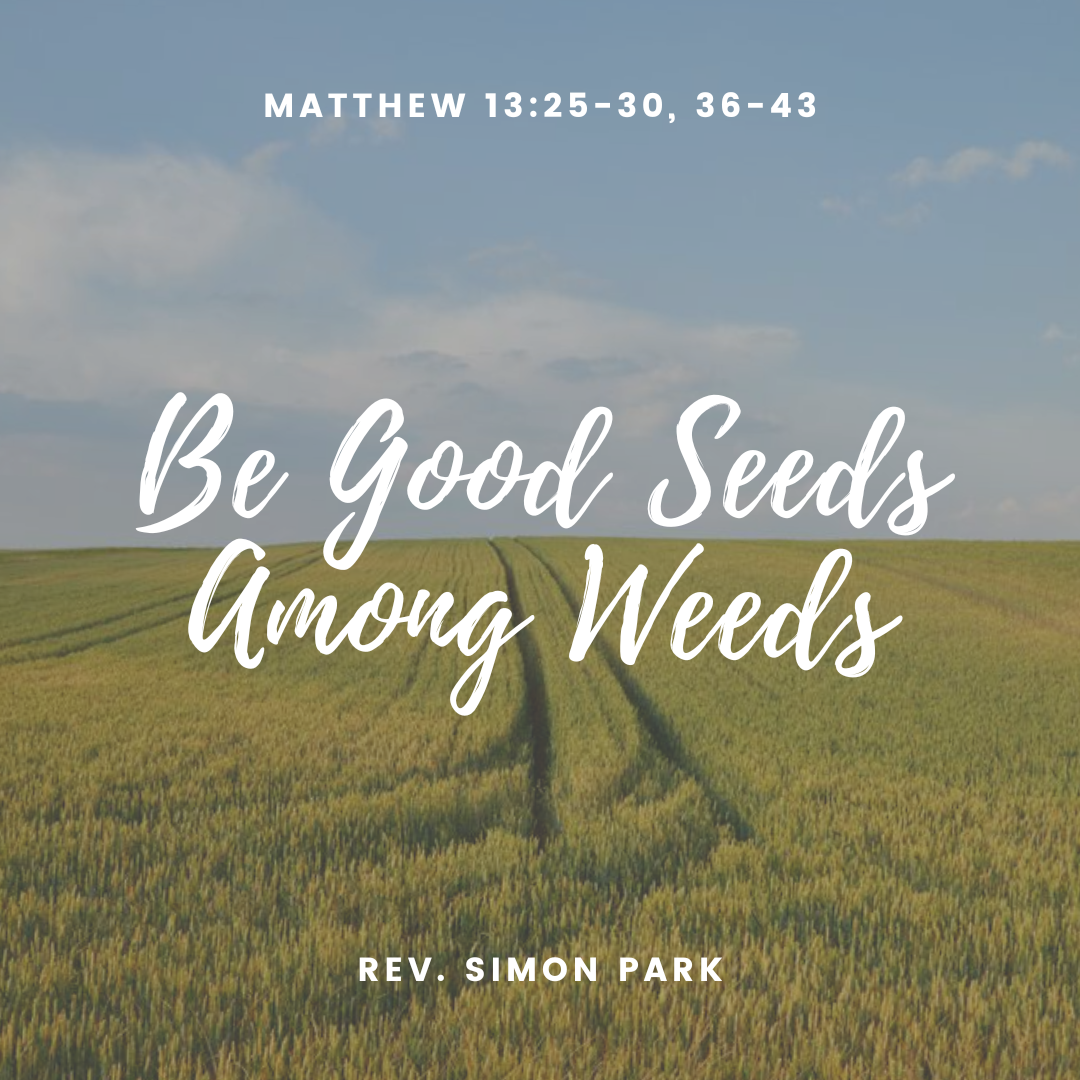 Be Good Seeds Among Weeds