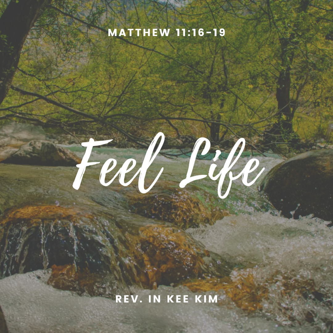 Feel Life