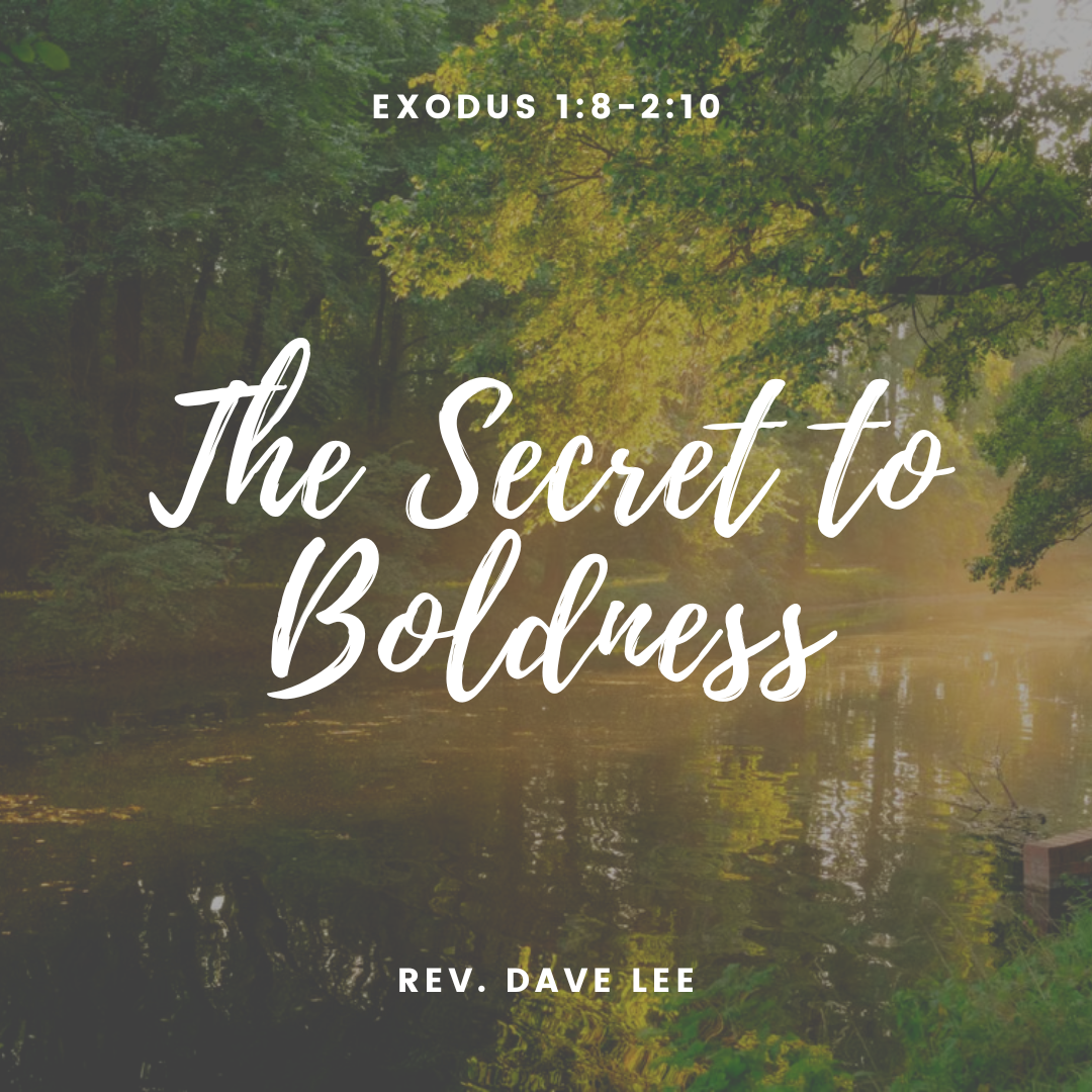 The Secret to Boldness