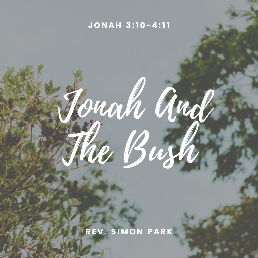 Jonah And The Bush